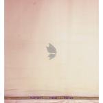 Siyaram's Bamboo Blended with Anti Bacterial benefits Plain pattern Beige (Champagne) Colour Unstitched Shirt Fabric of 1.6 Mts / VV2372I