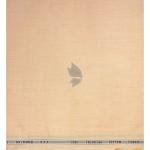 Raymond 100% Egyptian Giza Cotton (Premium Cotton) Apricot (Orange) colour Plain Pattern Unstitched Shirt Fabric of 1.60 meters / VV2383J