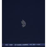 Raymond 100% Pure Wool (All Wool) Navy Blue Color Solid with Stretch Unstitched Trouser Fabric - 1.25 Mts / VV2007