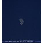 Raymond 100% Pure Wool (All Wool) Royal Blue Color Solid with Stretch Unstitched Suit Fabric - 3 Mts / VV2020