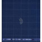 Raymond 100% Pure Wool (All Wool) Thick Blue Color Checkered Unstitched Suit Fabric - 3.25 Mts / VV2036