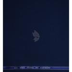 Raymond 100% Pure Wool (All Wool) Plain Blue Color Unstitched Suit Fabric - 3.5 Mts / VV2093