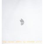 Raymond 35% Viscose blended White colour Solid Pattern Unstitched Suit Fabric of 3.5 Mts / VV2348