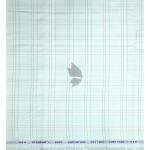 Siyaram's 100% Superfine Cotton with Jacquard weave Solid Pattern Celadon (Light Green) colour Unstitched Shirt Fabric of 1.60 Mts / VV2356Q