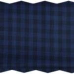 Raymond Adorn Super 90's Merino Wool blue Checkered trouser Fabric-1.25 mts / VV6810