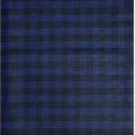 Raymond Adorn Super 90's Merino Wool blue Checkered Suit Fabric-3.0 mts / VV6811