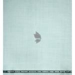 Raymond Super 100's Australian Merino Wool Fine Fabric with Solid Pattern and Light Green (Celadon) colour Unstitched Suit Fabric of 3.25 Meters / VV2564