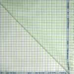 Raymond 100% Premium Cotton Green Checkered Unstitched Shirt Fabric - 1.60 metres / VV6746