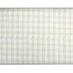 Raymond 100% Premium (Giza) Cotton Checkered Light Green (Ivory) colour Unstitched Shirt Fabric - 1.60 mts / VV2244