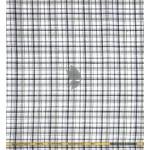 J.Hampstead Moretti Premium Egyptian Collection with 100% Giza Cotton Multicolor (Sage) Checkered Pattern Unstitched Shirt Fabric of 1.6 mts / VV2774