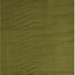 Raymond Patrizia Super 70's Merino Wool Green solid Suit Fabric - 3.0 mts / VV6808